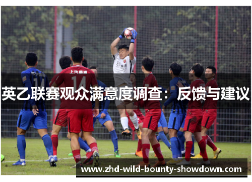 英乙联赛观众满意度调查：反馈与建议