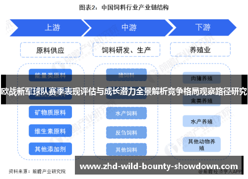 欧战新军球队赛季表现评估与成长潜力全景解析竞争格局观察路径研究